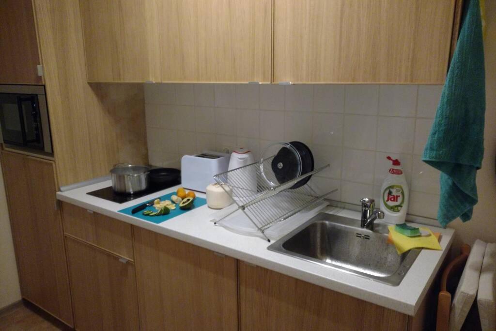 Marvelous Apartment In The Center Of ปราก ภายนอก รูปภาพ